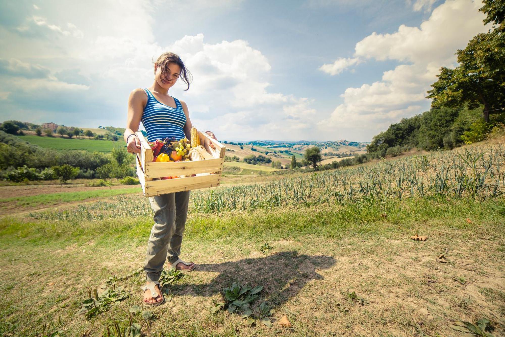 Agriturismo Fonte Carella Monte San Pietrangeli Zewnętrze zdjęcie